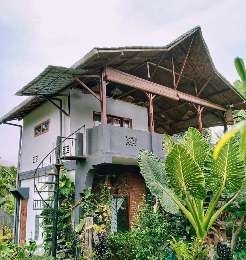 Sumatra Orangutan Discovery Villa Bukit Lawang Exteriör bild