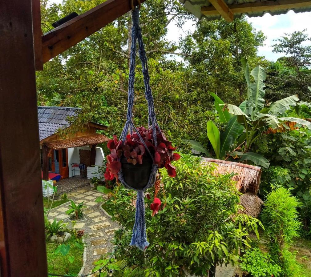 Sumatra Orangutan Discovery Villa Bukit Lawang Exteriör bild