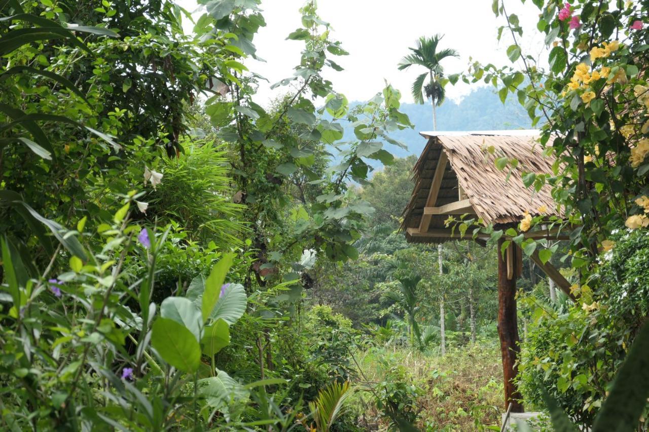 Sumatra Orangutan Discovery Villa Bukit Lawang Exteriör bild