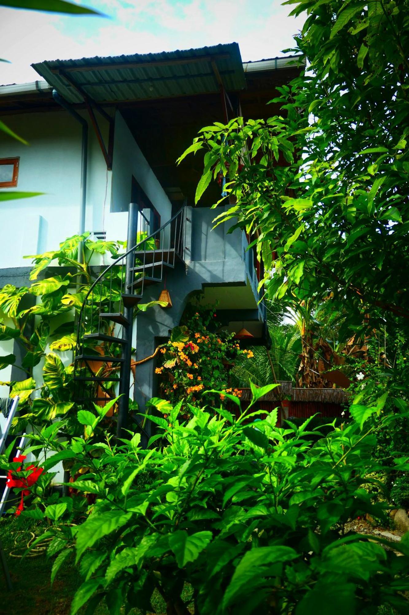 Sumatra Orangutan Discovery Villa Bukit Lawang Rum bild